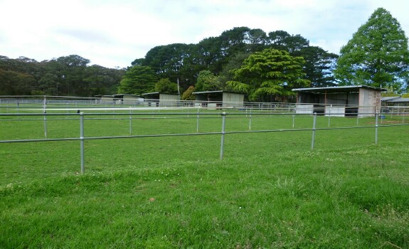 Horse Shelters